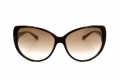 icona_carm tortoise green