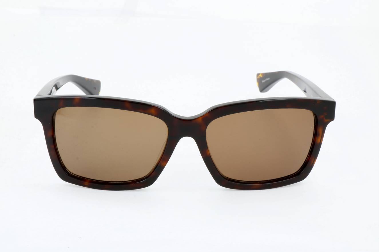 am5001 tortoise