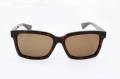 icona_am5001 tortoise