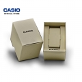 icona_casio_box_sea earth