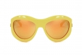 icona_d2 0072 s yellow