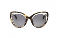 icona_edm14 tortoiseshell