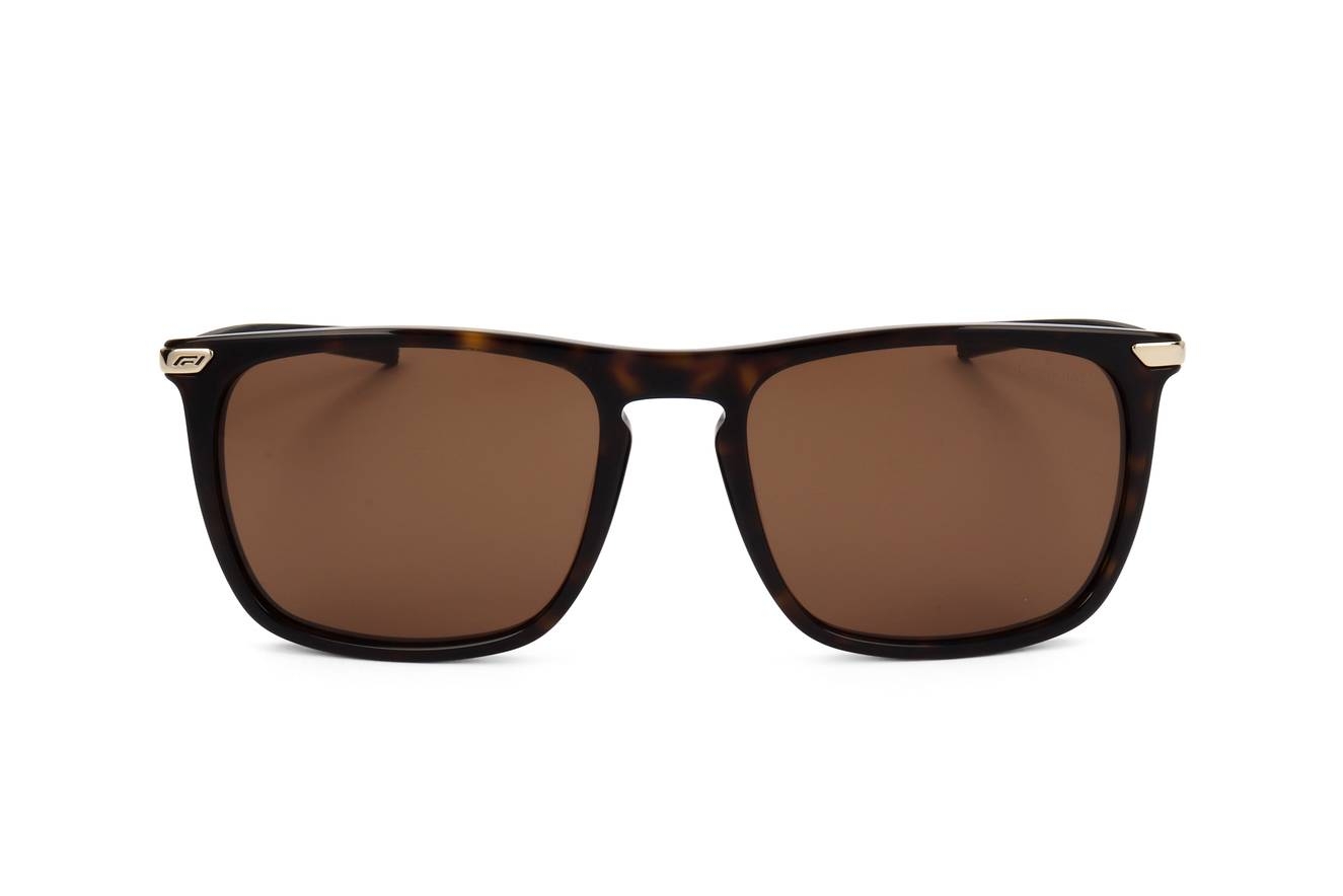 f1s1040 shiny tortoiseshell