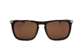 icona_f1s1040 shiny tortoiseshell