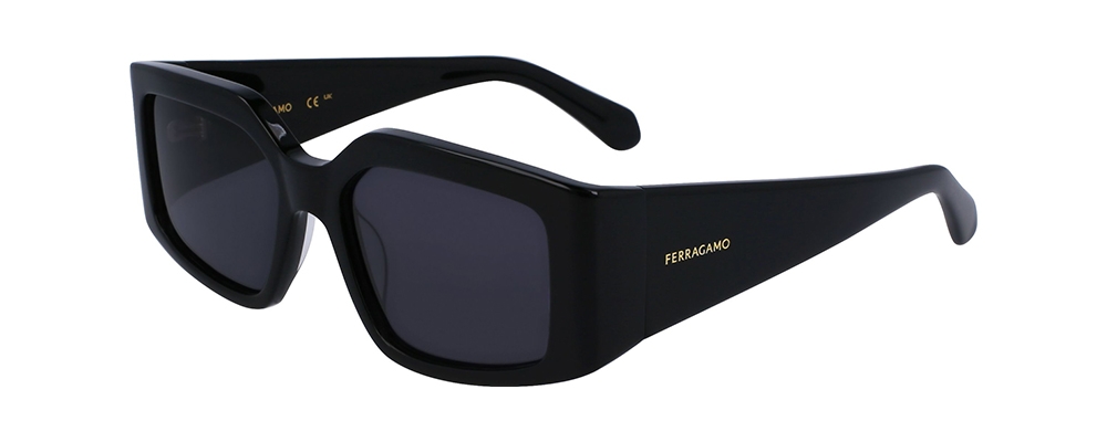sf1101s 001 54