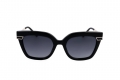 icona_gf00015 shiny black