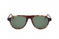 icona_heb203 tortoise