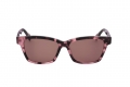 icona_km1015 raspberry tortoise