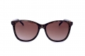 icona_km5057 leopard