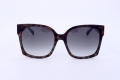 icona_km5059 leopard