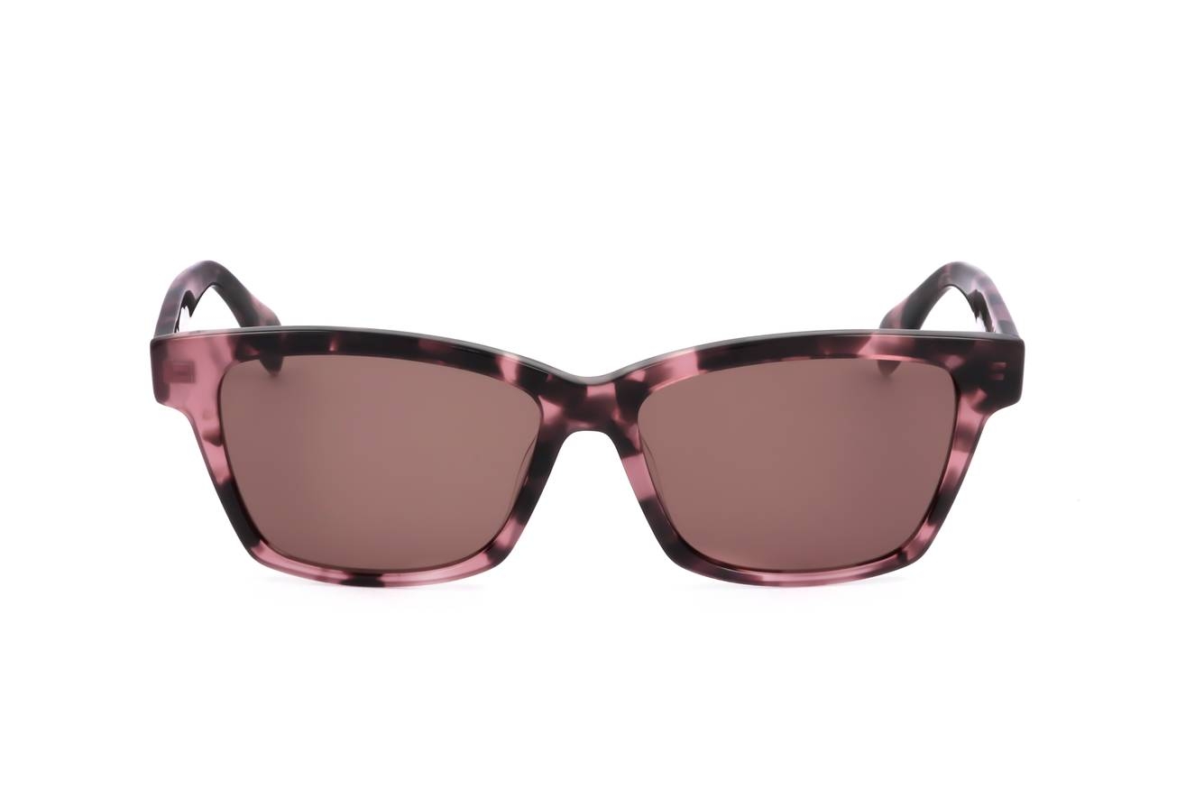km1015 raspberry tortoise