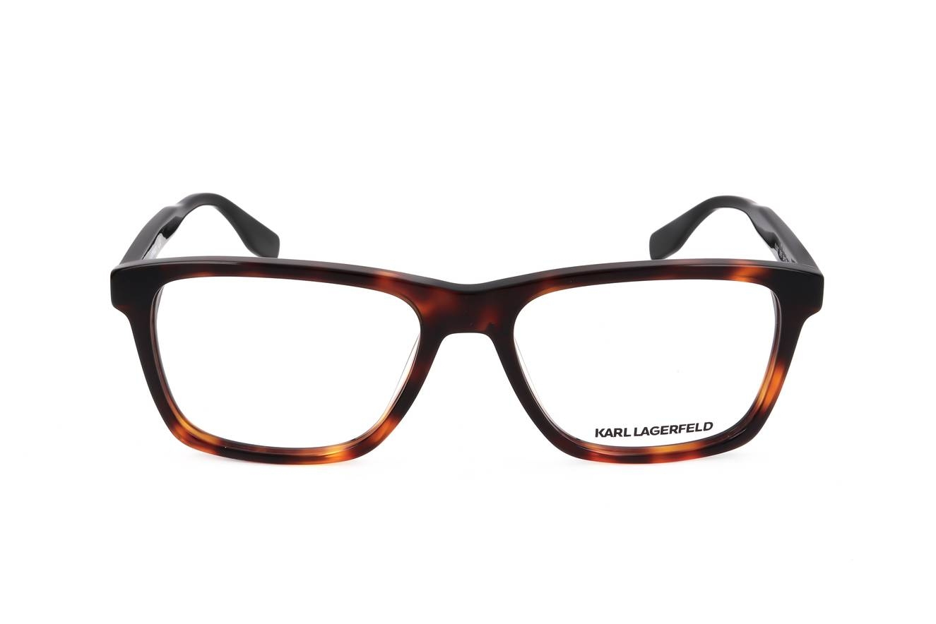 kl6067 tortoise