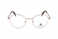 icona_lnv2111 medium gold