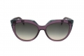 icona_lj783s purple_green