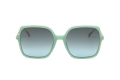 icona_mo0010 shiny light green