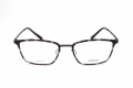 icona_4072 grey tortoise