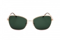 icona_r1419 gold, light green