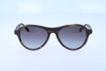icona_we0128 matte light green