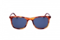 icona_zs22509s honey tortoise