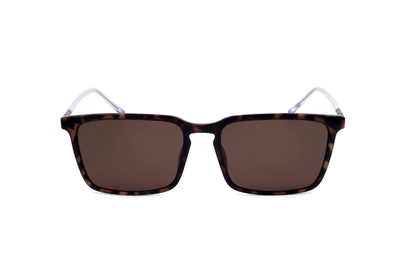 zs22512s tokyo tortoise