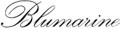 blumarine_sunglasses