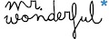 mr wonderful